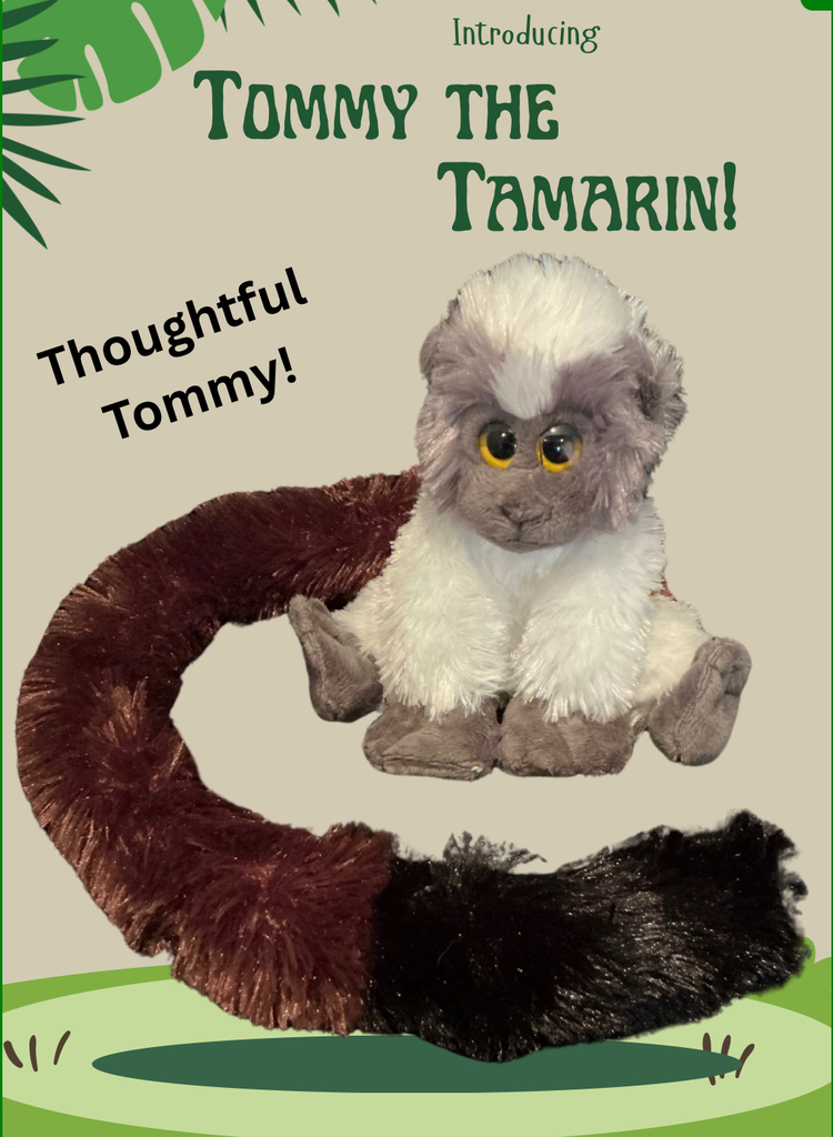 Tommy the Tamarin!
