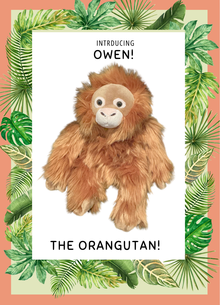 Owen the Orangutan!