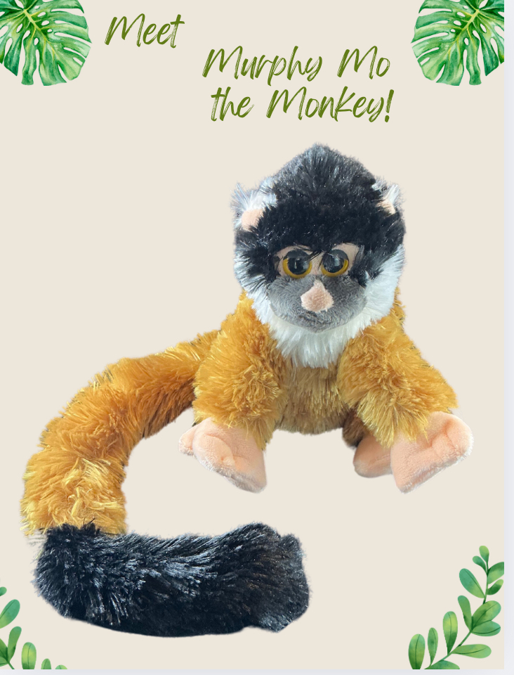 Murphy Mo the Squirrel Monkey