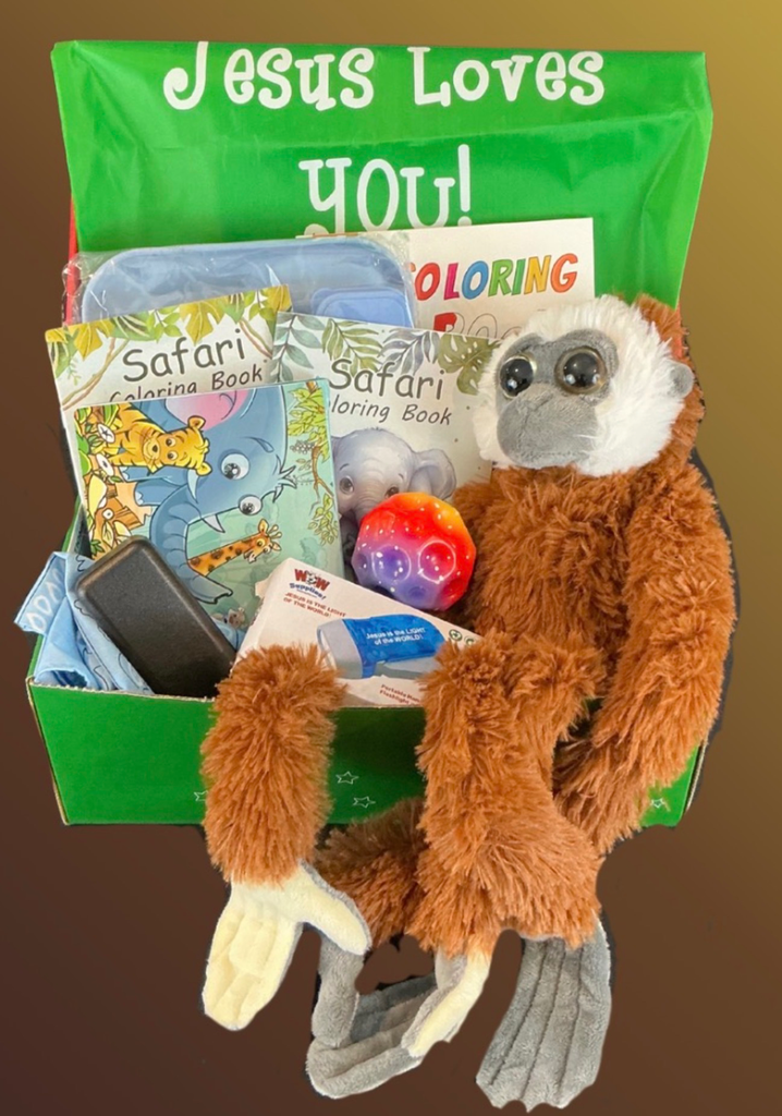 Bubbly Ben’s Safari Themed Shoebox!