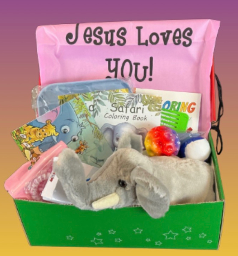 Ellie’s Safari Themed Shoebox!