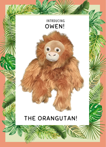 Owen the Orangutan!