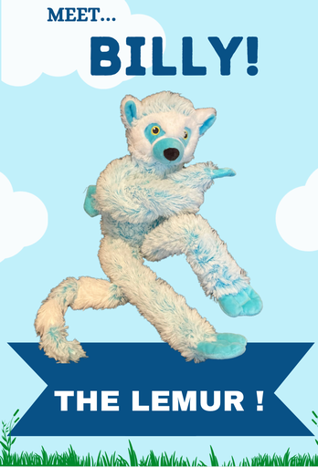 Billy the Blue Lemur! 